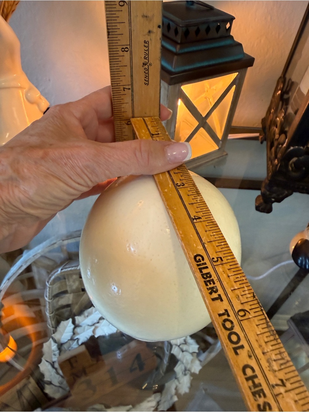 Large Real Blown Ostrich Egg - Picture 10 of 17